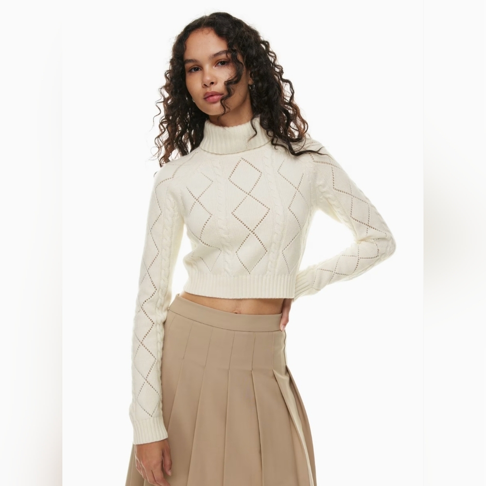 Aritzia Wilfred Jones Sweater
